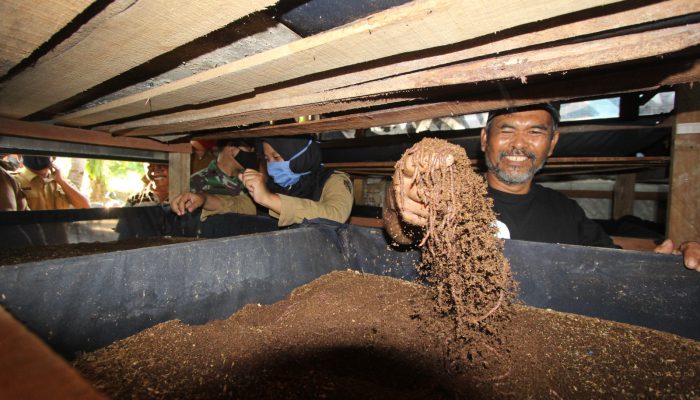 PLN Nusantara Power Dorong Ekonomi Sirkular Lewat Budidaya Cacing Tanah di Tenayan