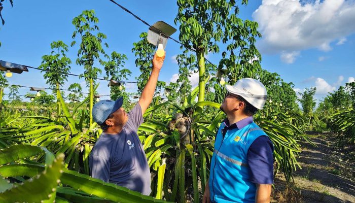 Penjualan Listrik PLN Jatim Tembus 22,69 TWh hingga Juni 2025, Tumbuh 5,16%
