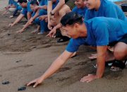 Pertamina Lestarikan Keanekaragaman Hayati: Lepas Tukik, Tanam Mangrove di Trenggalek