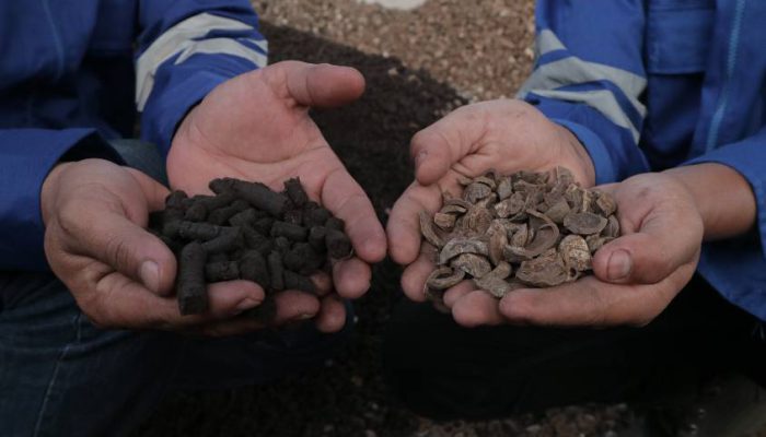 PLN Nusantara Power Produksi 472,2 GWh Energi Hijau, Dorong Akselerasi Transisi Energi dan Kurangi Emisi Karbon 525 Ribu Ton di Semester 1 2025