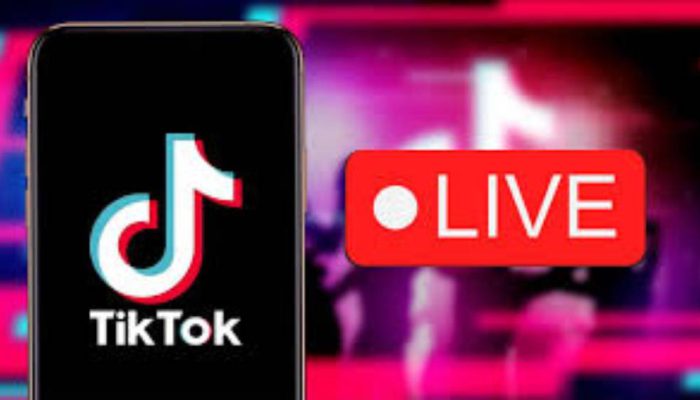 Kemendag: Pembekuan Fitur Live TikTok Tak Berdampak pada Perdagangan Digital