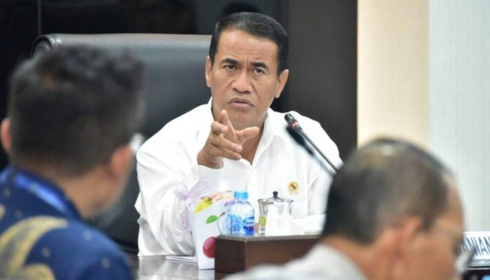 Mentan Amran Pastikan Pasokan Beras Aman, Harga Turun, Masyarakat Tidak Perlu Khawatir