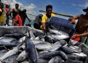 KKP Fokus Perkuat Fasilitas Perikanan Tangkap di Indonesia Timur