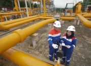 Pertagas Bukukan Pertumbuhan 2025, Siap Genjot Infrastruktur Energi Nasional