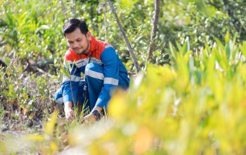 Program Hutan Lestari Pertamina Wujudkan Keseimbangan Alam dan Ekonomi Warga