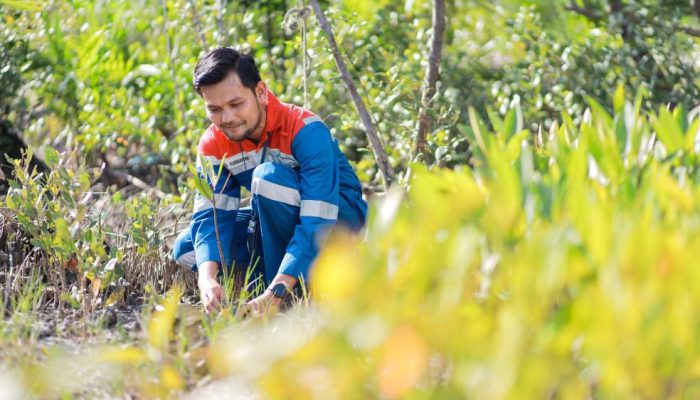 Program Hutan Lestari Pertamina Wujudkan Keseimbangan Alam dan Ekonomi Warga