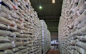 Pemerintah Tegaskan Stok Pangan Aman di Tengah Krisis Global