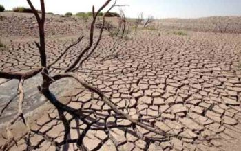 BMKG Prediksi Kemarau 2026 Lebih Cepat, Simak Jadwalnya