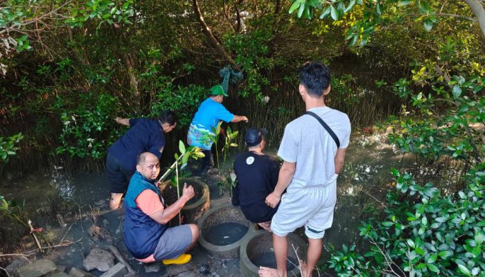 TPS Salurkan 3.000 Bibit Mangrove untuk Penghijauan Pesisir Sontoh Laut