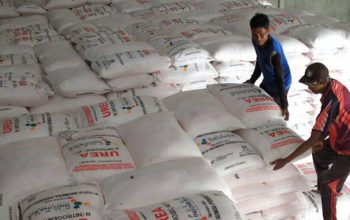 Pupuk Indonesia Bidik Ekspor Urea 500 Ribu Ton ke Australia