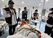 BPJS Kesehatan: JKN Aktif Penting untuk Perlindungan Jemaah Haji