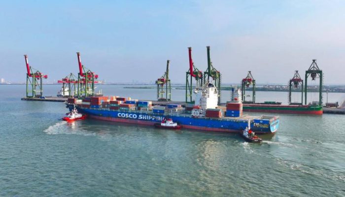 Dipercaya COSCO Shipping, Terminal Teluk Lamong Catat Lonjakan Arus Peti Kemas Internasional