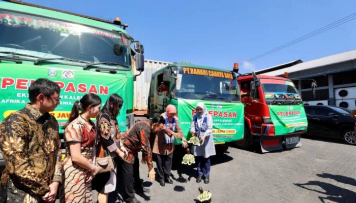 Ekspor Perdana ke Tanzania dan Lebanon, Ikan Sarden Banyuwangi Tembus Pasar Global
