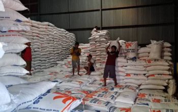 Stok Beras Bulog Banyuwangi Tembus 129 Ribu Ton, Suplai Papua, NTT hingga Bali