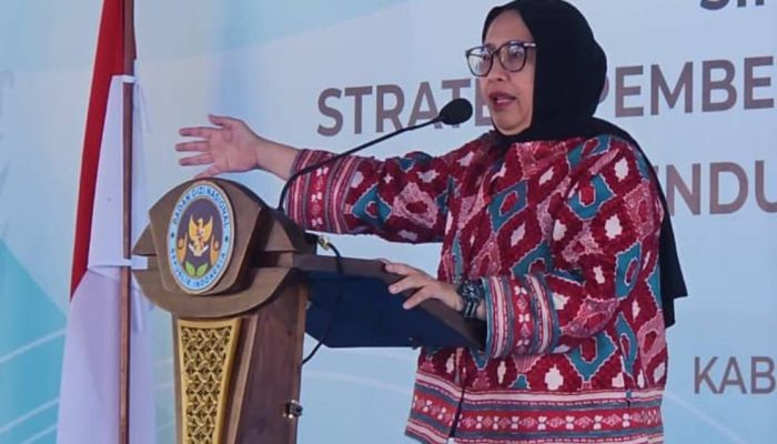 Nanik S Deyang Mengundurkan Diri dari Kepala Badan Gizi Nasional