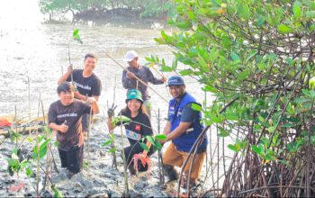 TPS Perluas Program Donasi Oksigen, 3.000 Bibit Mangrove Ditanam di Tambak Sarioso