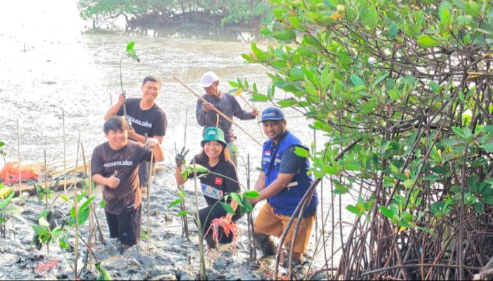 TPS Perluas Program Donasi Oksigen, 3.000 Bibit Mangrove Ditanam di Tambak Sarioso