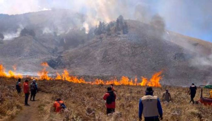 Resmi! Bromo Buka Kembali 20 Agustus, Menhut Cemas Risiko Kebakaran Berulang